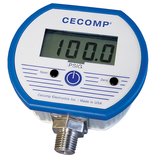 digital pressure gauge: DPG1000B