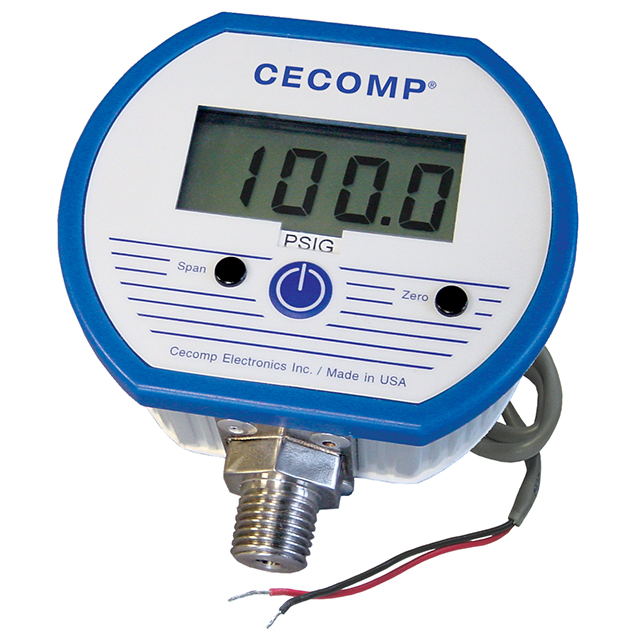 digital pressure gauge: DPG1000AD