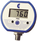 digital pressure gauge: DPG1000B